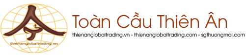 Duong Thiên Ân Global
